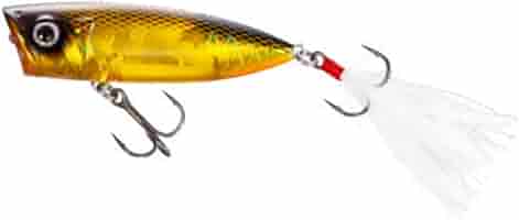 海外ポッパー Daiwa STEEZ POPPER 60F 7.6g Jewel Beetle Bass Fishing Lure